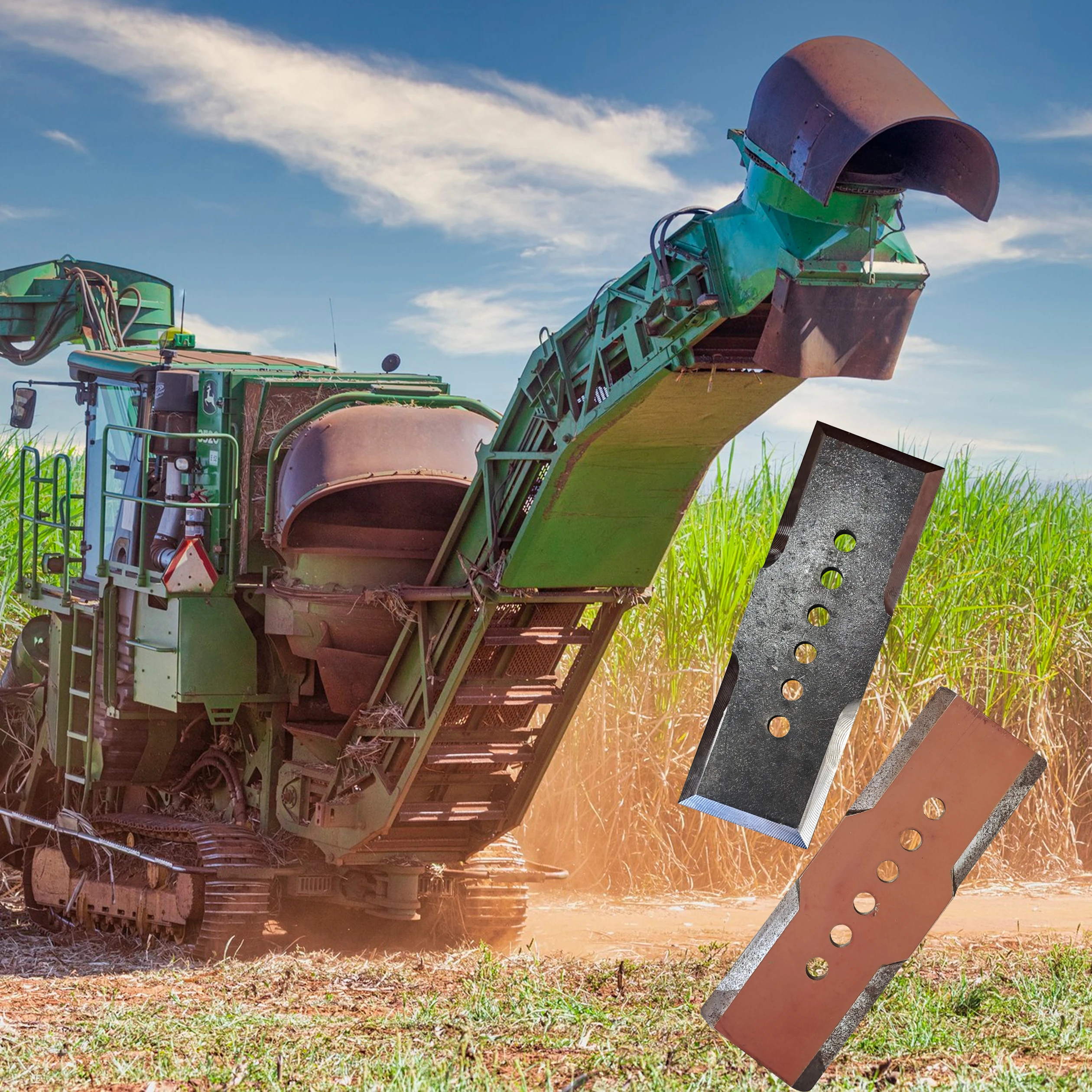 AGROINDUSTRIA Cuchillas Sugarcane